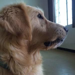 Meet your Posher, Jane